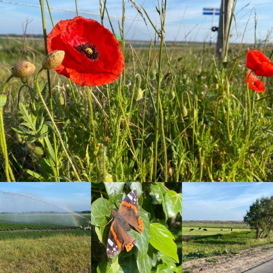 Vakantiebungalow Mee Naar Ouddorp Aan Zee Dış mekan fotoğraf