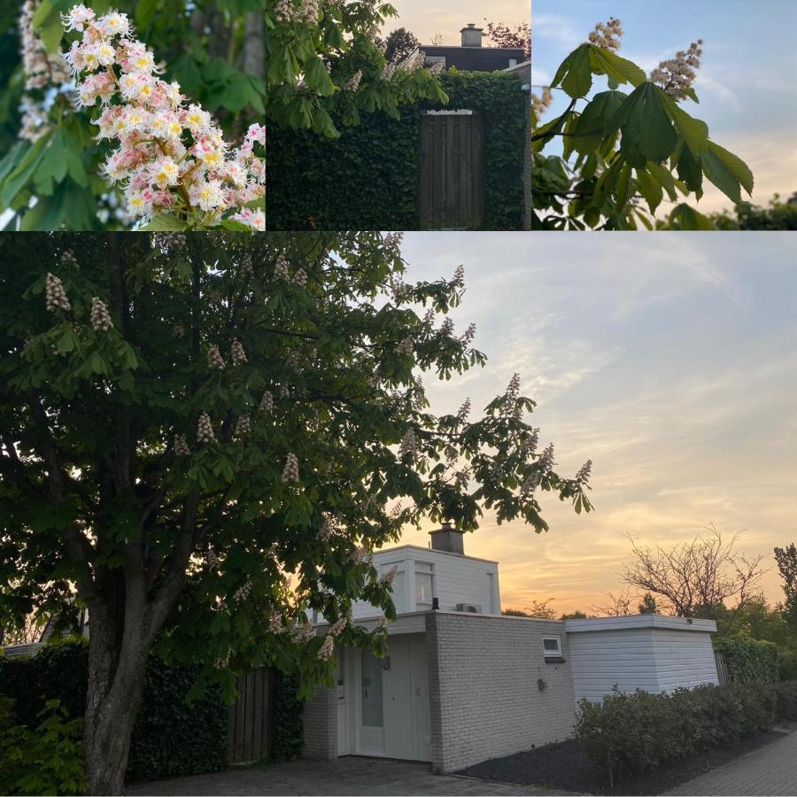 Vakantiebungalow Mee Naar Ouddorp Aan Zee Dış mekan fotoğraf